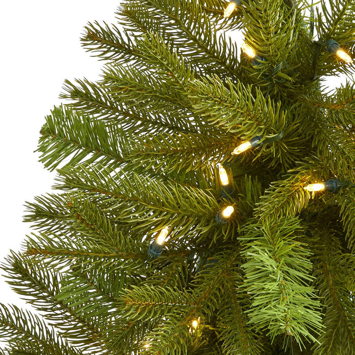 3' Cambridge Spruce Flat Back Artificial Christmas Tree with 50 Warm White (Multifunction) LED Lights and 113 Bendable Branches