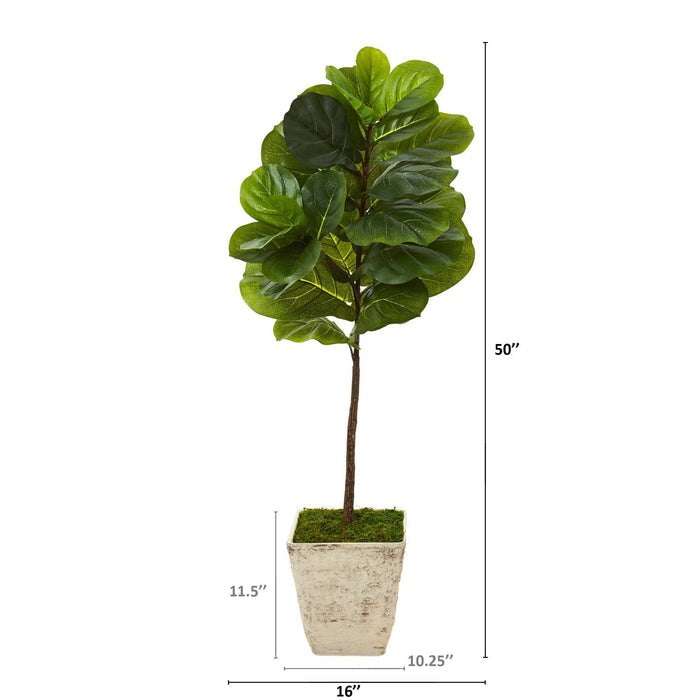 50” Fiddle Leaf Artificial Tree in Country White Planter (Real Touch)