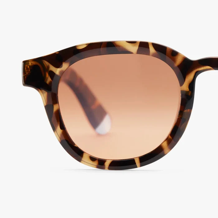 Andy / Sunglasses - Tortoise