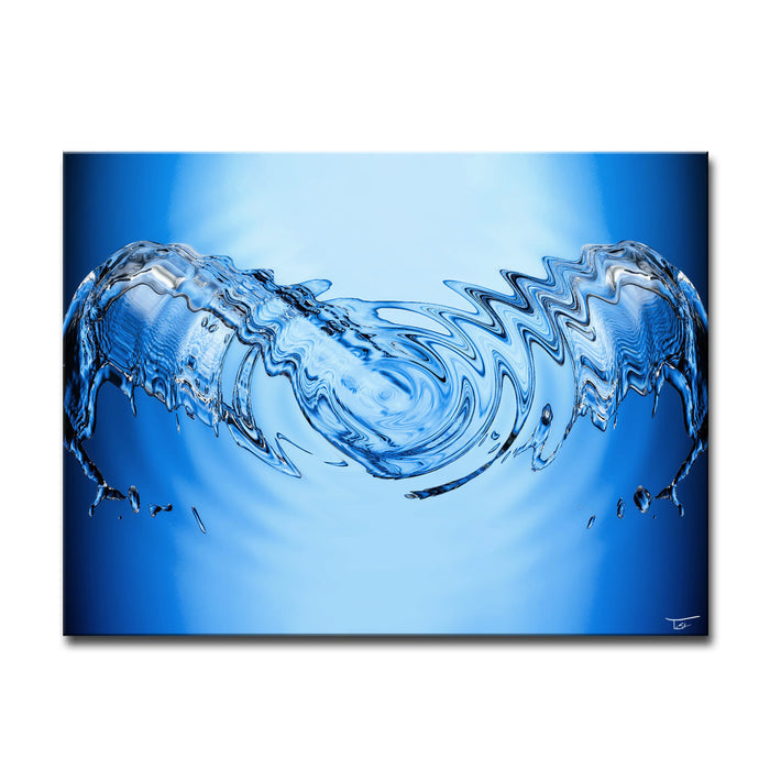Aqueous Trance No. 31' Wrapped Canvas Wall Art Set
