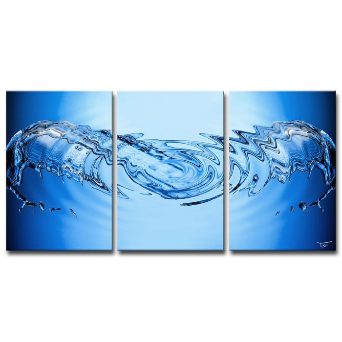 Aqueous Trance No. 31' Wrapped Canvas Wall Art Set