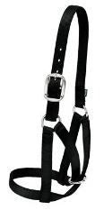 Barn Cow Halter, Medium to Large, Black