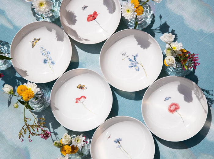 Bloom Cosmos Soup Plate, 20cm