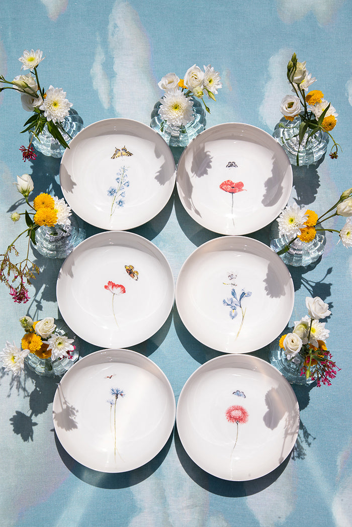 Bloom Cosmos Soup Plate, 20cm