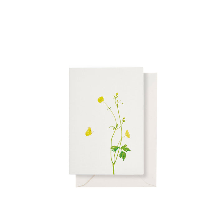'Buttercup' Greeting Card, 15cm x 10cm (A6)