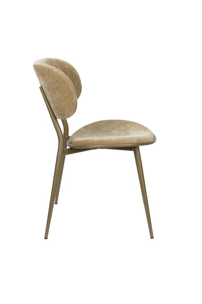 Chair Lieve