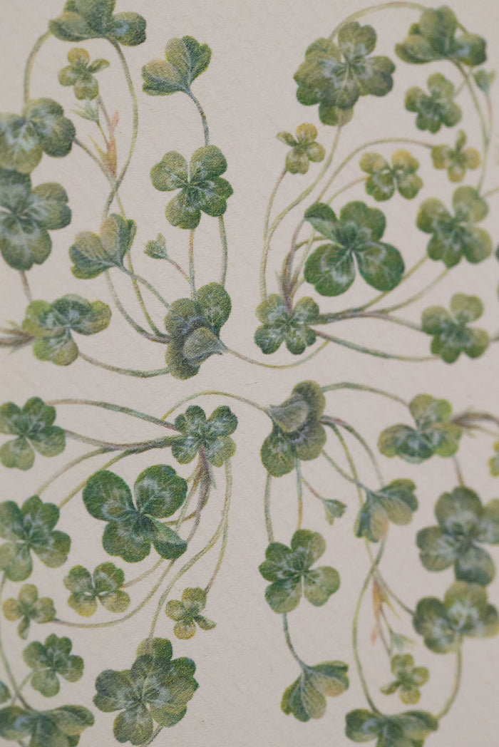 'Clover' Greeting Card, 15cm x 10cm (A6)