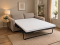 A beige upholstered daybed or sofa with a pull-out mattress base, shown in a styled living room with a side table, lamp, rug, shelving, and window.