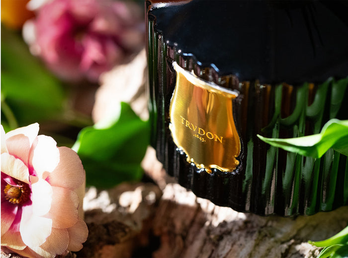 'Cyrnos' Diffuser by Trudon, 350ml