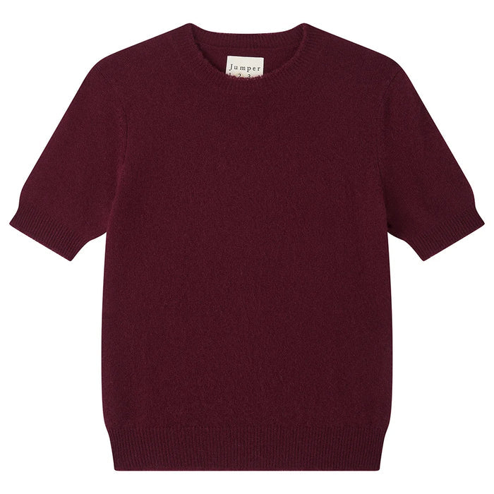 Distressed T-shirt / Burgundy