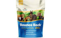Electrolytes Bounce Back - 4 oz