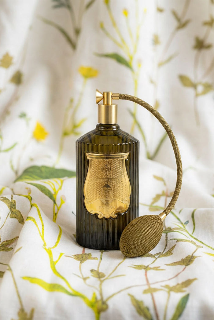 'Ernesto' Room Spray by Trudon, 375ml
