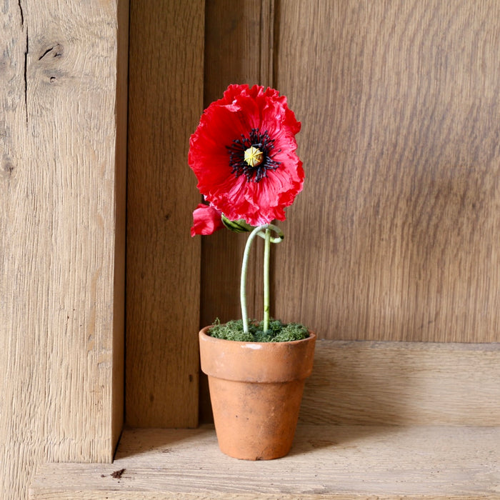 Floragami - Single poppy and Bud / Red