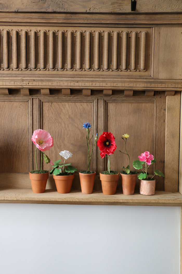 Floragami - Single poppy and Bud / Red