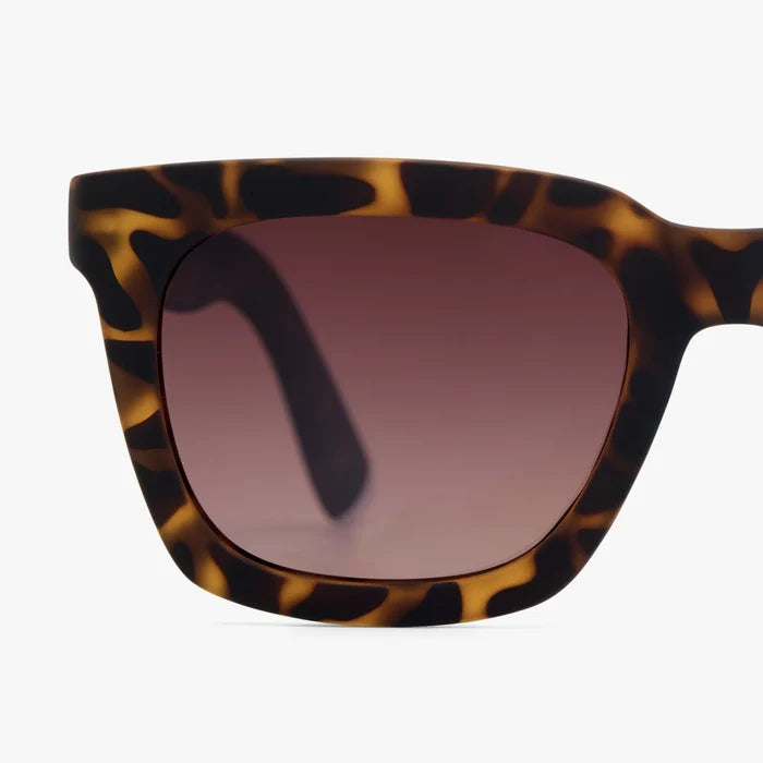 Max / Sunglasses - Matte Tortoise