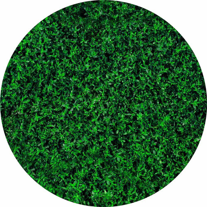 Mocsicka Green Grass Round Cover