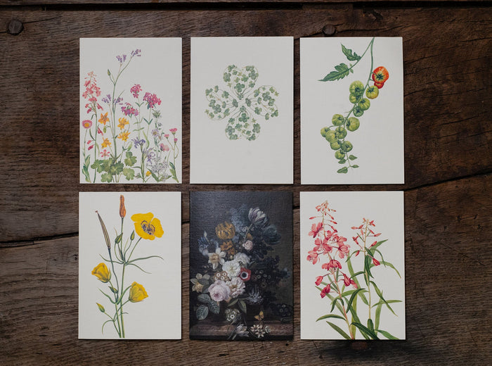 'Our June' Greeting Card, 15cm x 10cm (A6)