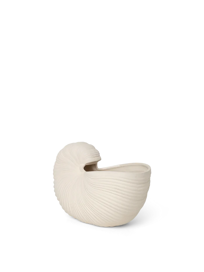 Shell Vase