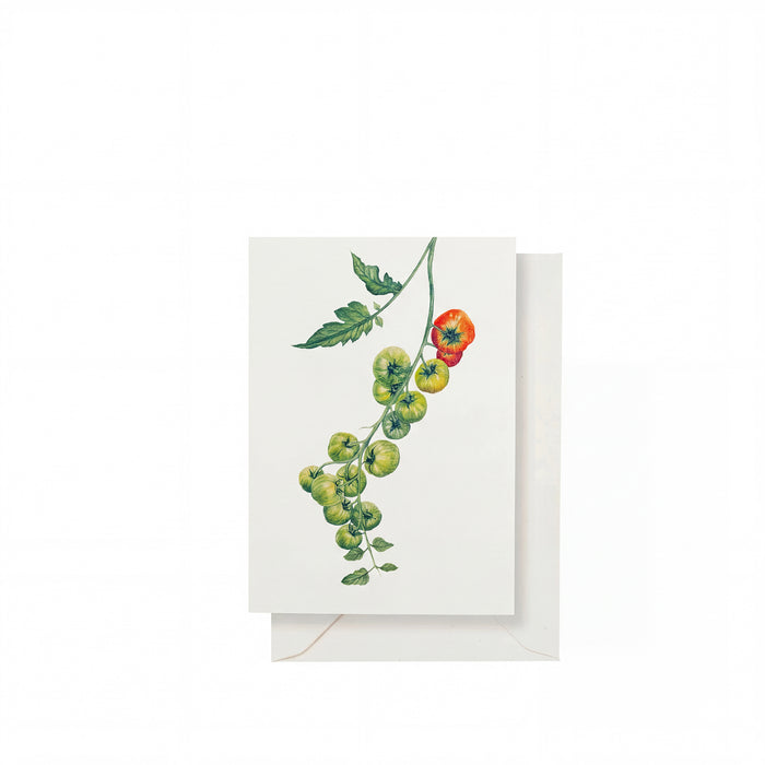 'Tomato Verte' Greeting Card, 15cm x 10cm (A6)