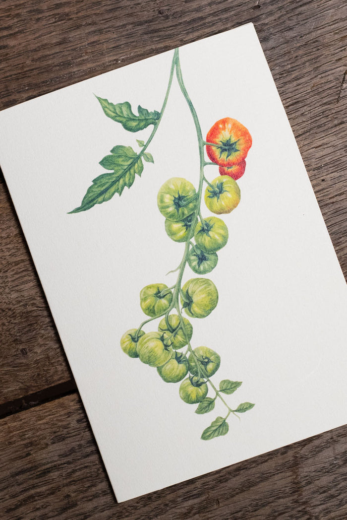 'Tomato Verte' Greeting Card, 15cm x 10cm (A6)